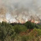 H φωτιά στο Γαρδίκι Θεσπρωτίας