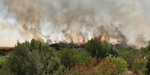 H φωτιά στο Γαρδίκι Θεσπρωτίας
