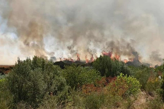 H φωτιά στο Γαρδίκι Θεσπρωτίας