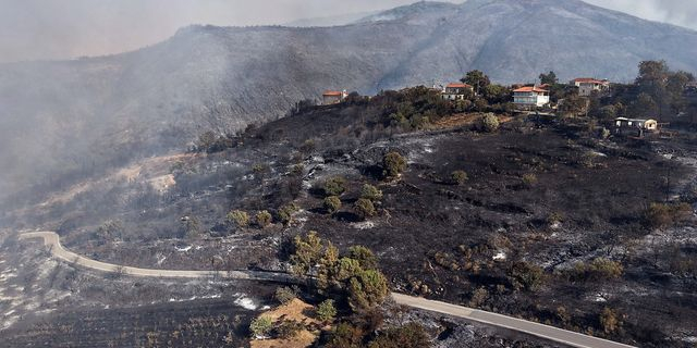 Οριοθετήθηκε η φωτιά στη Μεσσηνία – Κάηκαν 500 στρέμματα αγροτοδασικής έκτασης
