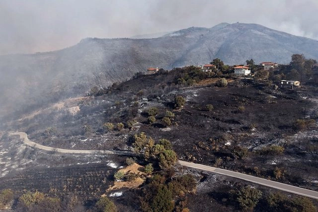 Οριοθετήθηκε η φωτιά στη Μεσσηνία – Κάηκαν 500 στρέμματα αγροτοδασικής έκτασης