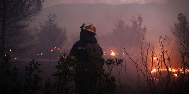 Σε ύφεση η φωτιά στον Ωρωπό  – Μάχη για τον έλεγχο των αναζωπυρώσεων