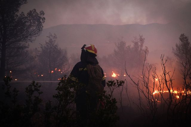 Σε ύφεση η φωτιά στον Ωρωπό – Μάχη για τον έλεγχο των αναζωπυρώσεων