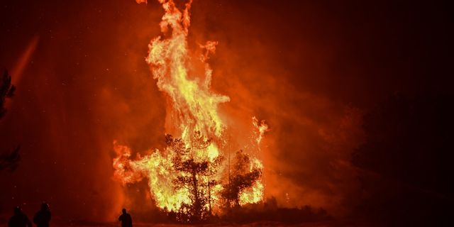 Συγκλονιστικές εικόνες από τον Ωρωπό – Πυροσβέστες και εθελοντές μέσα στη φωτιά