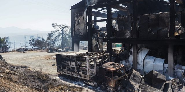 Στιγμιότυπο από την επόμενη ημέρα της πυρκαγιάς στην περιοχή του Πισσώνα Ευβοίας