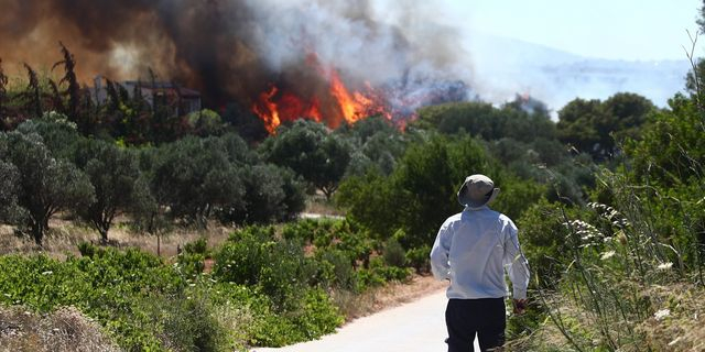Φωτογραφίες και βίντεο από τη μεγάλη φωτιά στη Ραφήνα