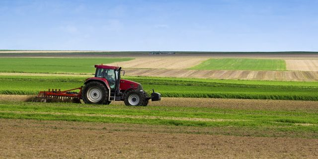 ΟΠΕΚΕΠΕ: Ποινές φυλάκισης σε 13 άτομα για παράνομες επιχορηγήσεις στη Φθιώτιδα