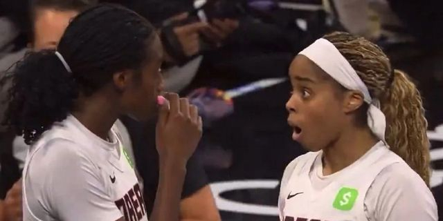 Πρωτοφανής σεξιστική επίθεση στο WNBA: Εκτοξεύθηκε sex toy από την εξέδρα, παραλίγο να χτυπήσει παίκτρια