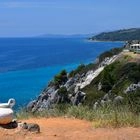 Χαλκιδική: Συναγερμός στον ΕΟΔΥ για ομαδική τροφική δηλητηρίαση στον Νέο Μαρμαρά