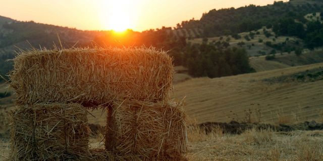 ΟΠΕΚΕΠΕ: Καταδίκη για 57 αγρότες από την Κρήτη