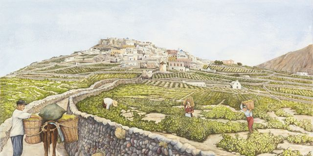 Πύργος Καλλίστης