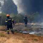 Τέσσερις συλλήψεις για φωτιές από αμέλεια σε Χαλκιδική, Θεσσαλονίκη, Βοιωτία, Λάρισα