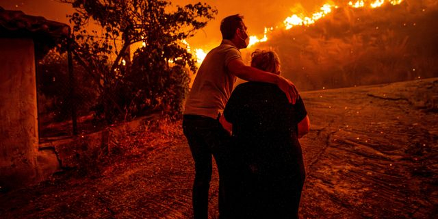 Ηλεία – Οδυνηρές εικόνες από τον πύρινο εφιάλτη