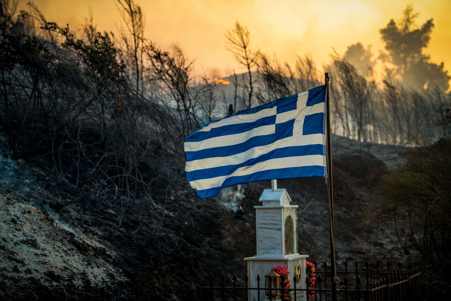 Η φωτιά στην Ηλεία κατέστρεψε αγροτικά σπίτια, αυτοκίνητα και αγροτικές εκτάσεις, ενώ κάηκαν πολλά ζώα