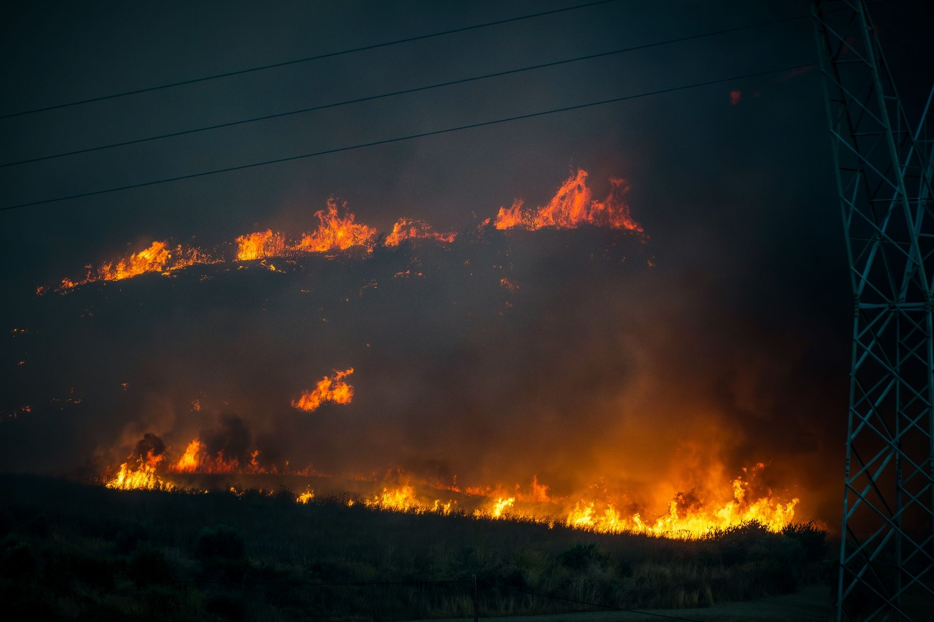 Η φωτιά στην Ηλεία κατέστρεψε αγροτικά σπίτια, αυτοκίνητα και αγροτικές εκτάσεις, ενώ κάηκαν πολλά ζώα