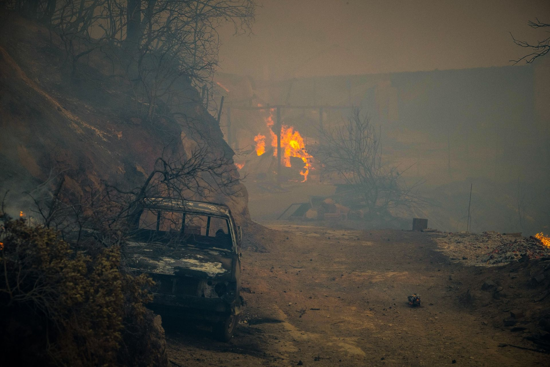 Η φωτιά στην Ηλεία κατέστρεψε αγροτικά σπίτια, αυτοκίνητα και αγροτικές εκτάσεις, ενώ κάηκαν πολλά ζώα