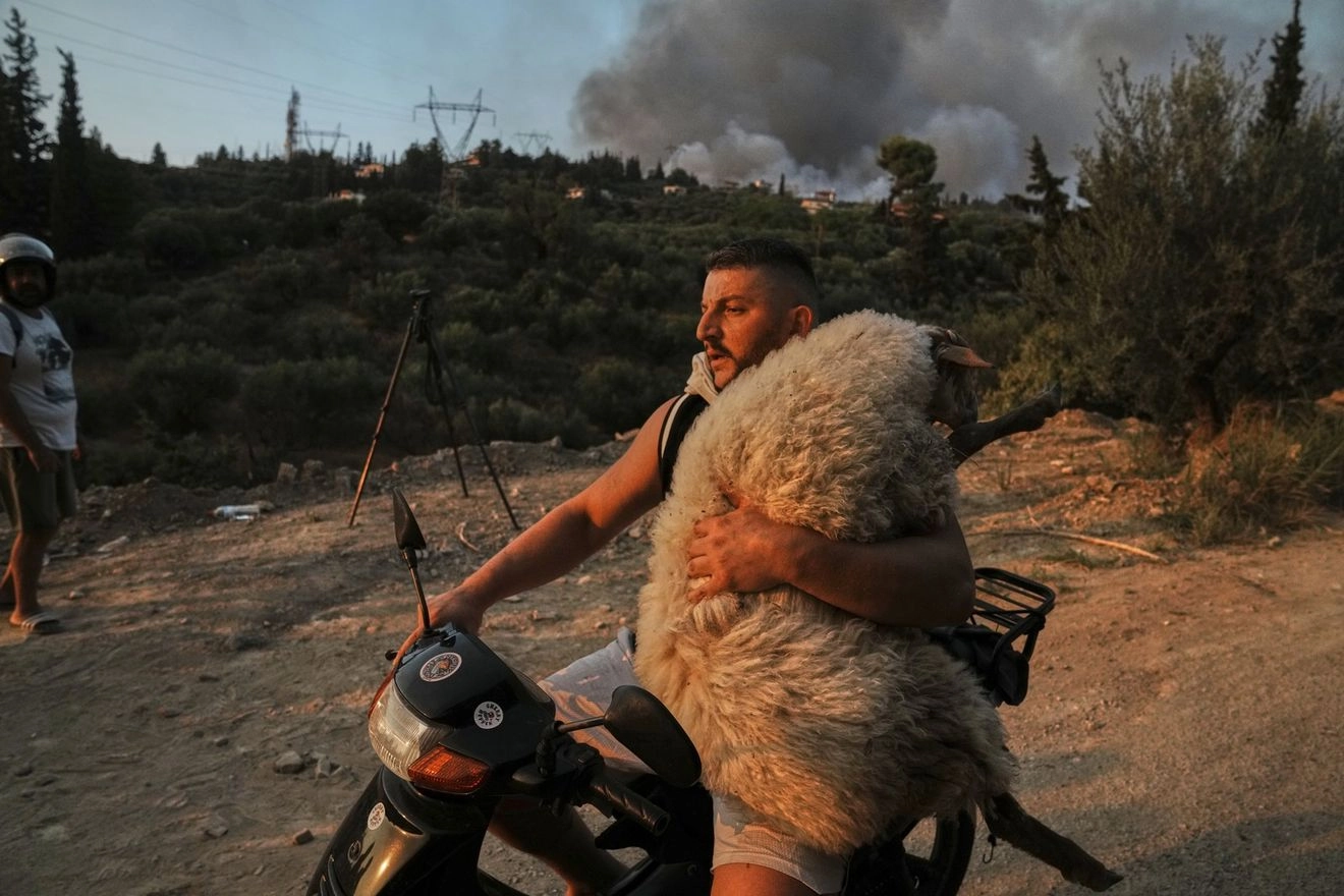 Η ιστορία πίσω από το συγκλονιστικό καρέ με το πρόβατο στη φωτιά της Πάτρας