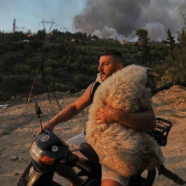 Στις παρυφές της Πάτρας η φωτιά – Καίγονται τα πάντα σε Χίο, Πρέβεζα και Ζάκυνθο