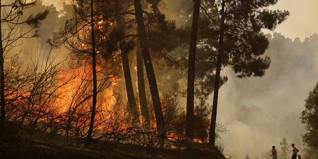 Ισπανία: Το τέλος των πυρκαγιών “πλησιάζει”, σύμφωνα με την Πολιτική Προστασία