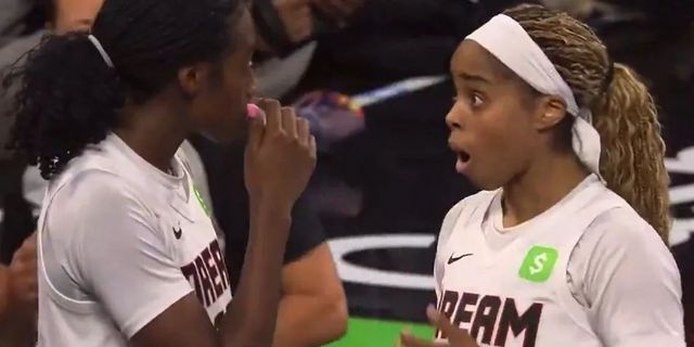 WNBA: Συνελήφθη οπαδός για τη ρίψη sex toy στο παρκέ