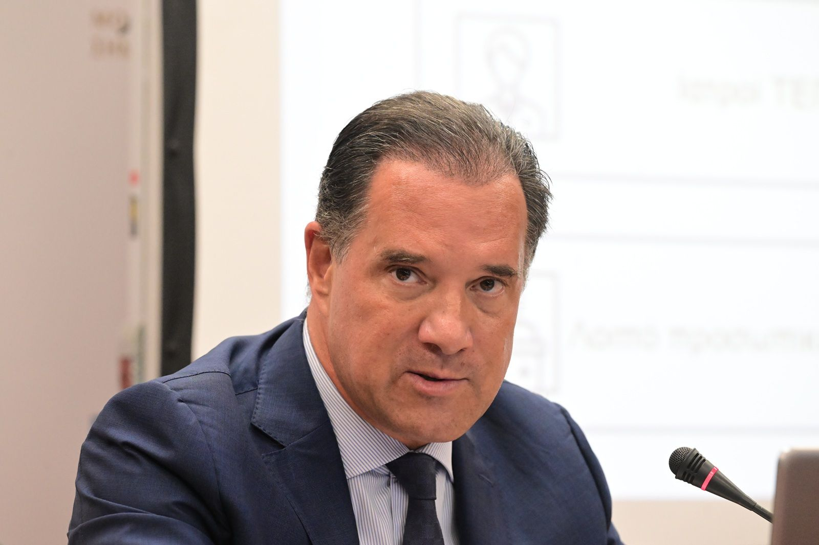 Άδωνις Γεωργιάδης για Λένα Σαμαρά: Το 