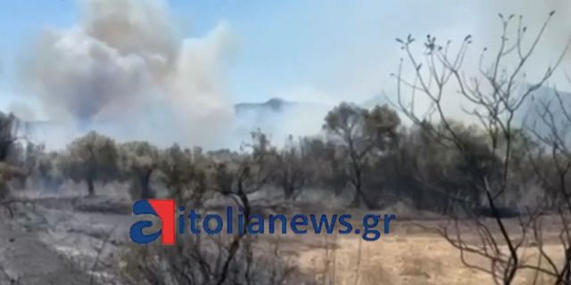 Φωτιά μεταξύ Παλαίρου – Βόνιτσας στην Αιτωλοακαρνανία – Σηκώθηκαν εναέρια