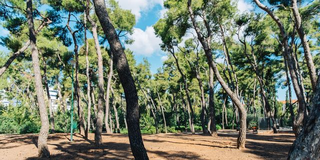 Δήμος Αθηναίων: Κλείνει το Άλσος Χωροφυλακής μέχρι νεωτέρας