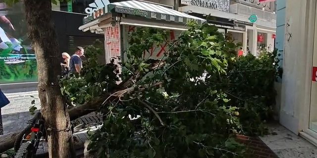 Πτώση δέντρου στην Ερμού λόγω των ισχυρών ανέμων 