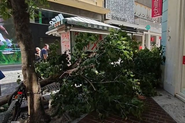 Πτώση δέντρου στην Ερμού λόγω των ισχυρών ανέμων