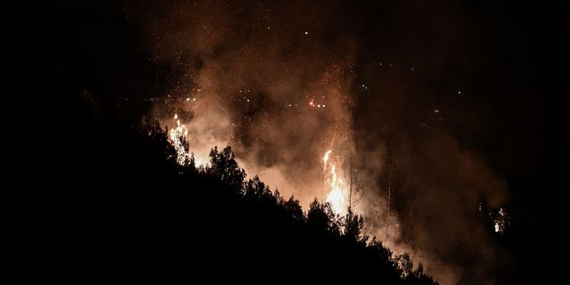 Λέσβος: Φωτιά στην περιοχή της Φιλίας