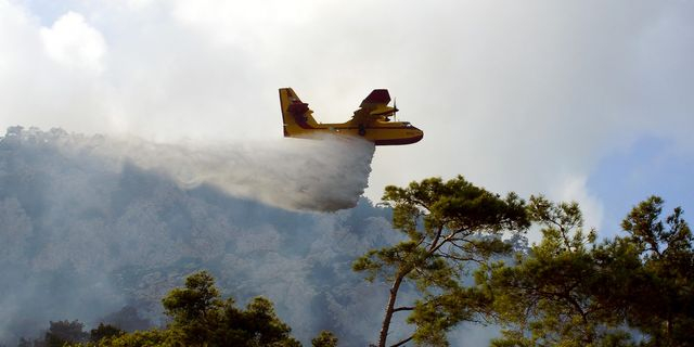 Φωτιά στον Κουβαρά Αττικής