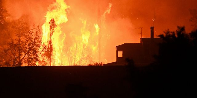 Φωτιές: Ολοκληρώθηκαν οι αυτοψίες σε Αχαΐα, Πρέβεζα, Άρτα και Ζάκυνθο – Η διαδικασία αποζημίωσης