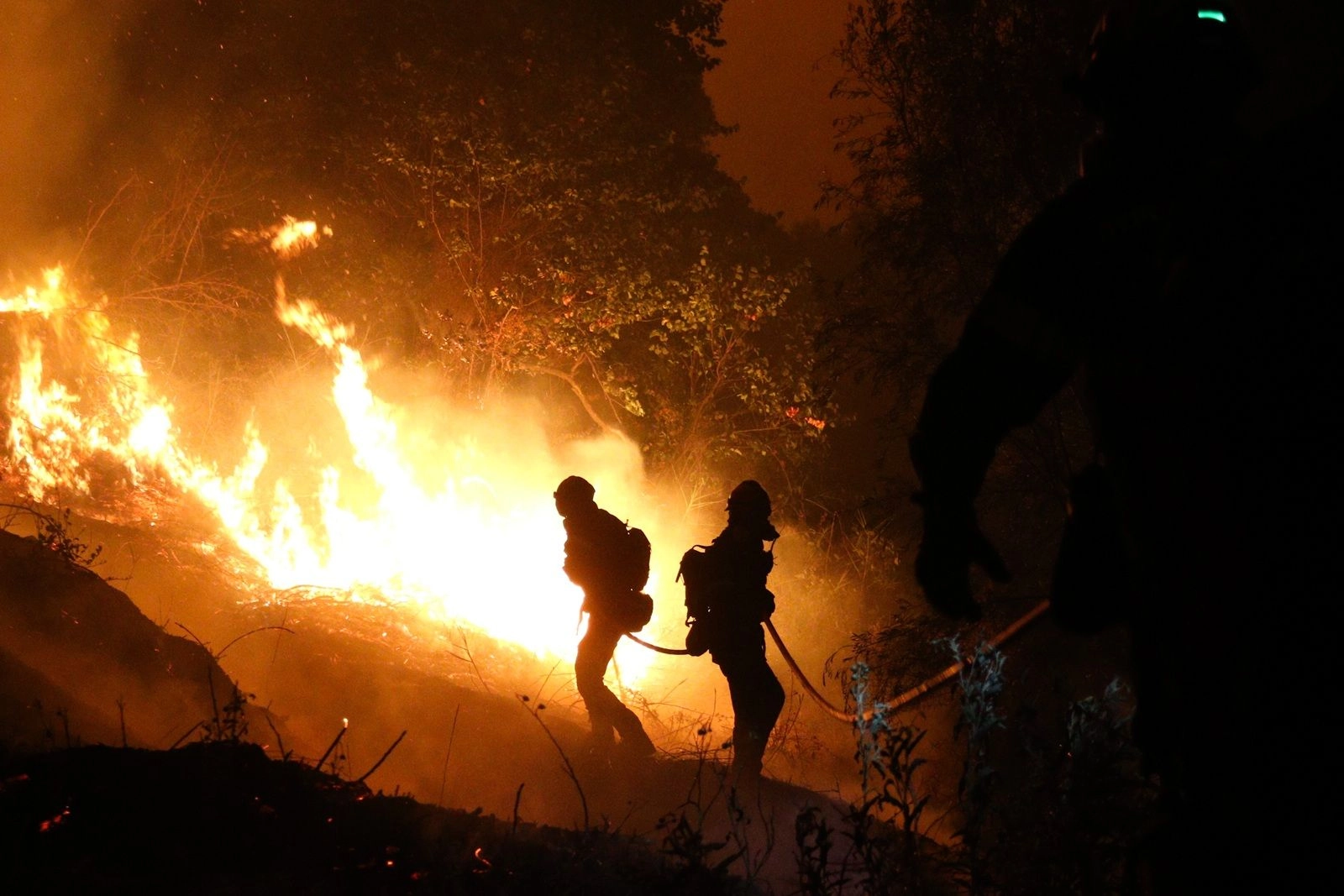 Φωτιά στην Αχαΐα