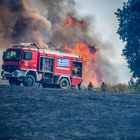 Πυρκαγιά σε χαμηλή βλάστηση (φωτογραφία αρχείου)