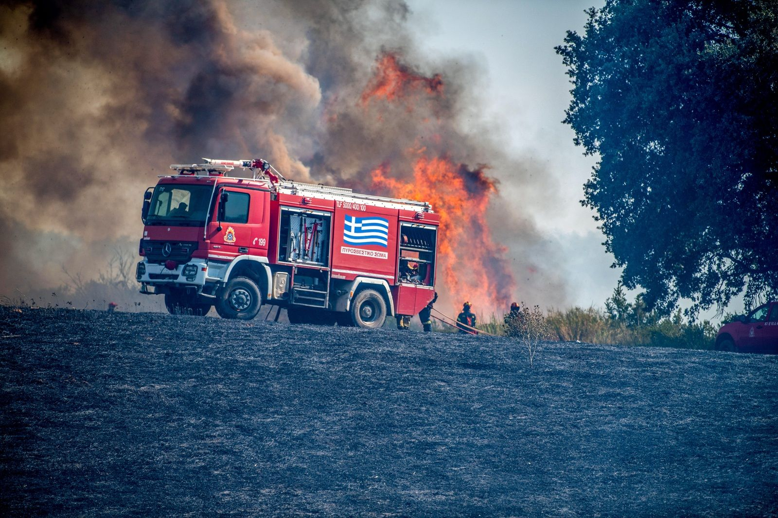 Πυρκαγιά σε χαμηλή βλάστηση στην περιοχή Μέλισσα Λεχαινών στην Ηλεία.