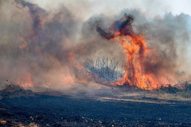 Πυρκαγιά σε χαμηλή βλάστηση