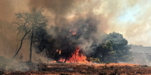 Αργολίδα: Μεγάλη φωτιά στο Κουνούπι – Επιχειρούν 11 εναέρια