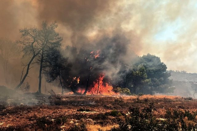 Δασικές πυρκαγιές: Από την ετοιμότητα και τους αριθμούς στην ολοκληρωμένη διαχείριση