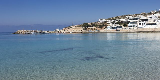 Στη Δονούσα, οι γάτες νιαουρίζουν χαρούμενες