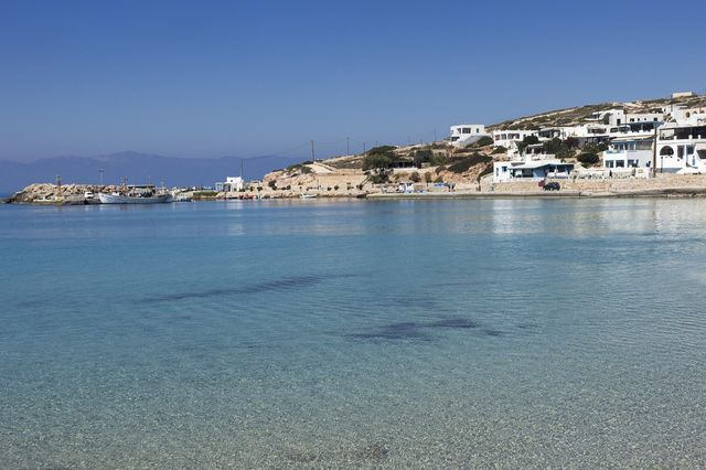 Στη Δονούσα, οι γάτες νιαουρίζουν χαρούμενες