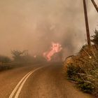Αρχαία Ολυμπία: Συνελήφθη άνδρας που άρπαξε πυροσβεστικό όχημα για να σβήσει τη φωτιά