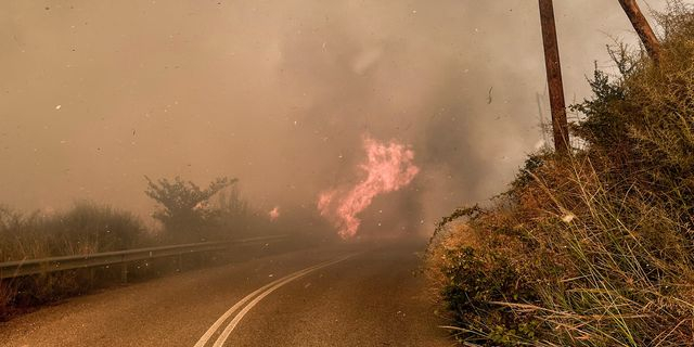 Αρχαία Ολυμπία: Συνελήφθη άνδρας που άρπαξε πυροσβεστικό όχημα για να σβήσει τη φωτιά