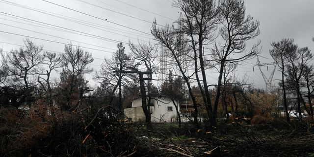 WWF για φωτιές: Ρεκόρ 20ετίας οι καμένες εκτάσεις