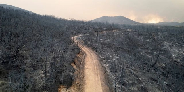 Δαδιά: Δύο χρόνια μετά την καταστροφική πυρκαγιά