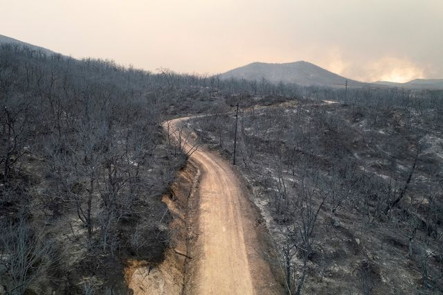 Δαδιά: Δύο χρόνια μετά την καταστροφική πυρκαγιά