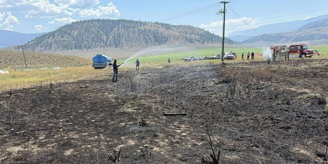 Πώς ένα πουλί και ένα ψάρι προκάλεσαν πυρκαγιά