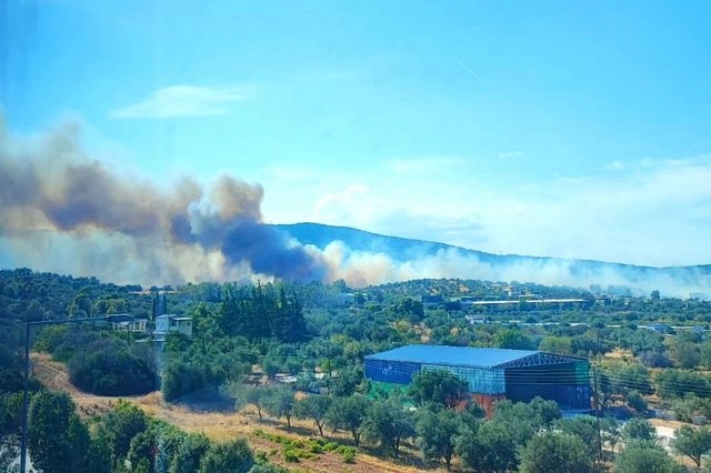 Μεγάλη φωτιά στην Κάντζα – Ενισχύονται οι δυνάμεις της Πυροσβεστικής