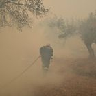 Ένας νεκρός από τη φωτιά στην Κερατέα