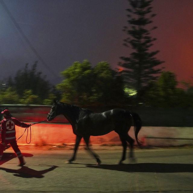 Εφιαλτική νύχτα στην Ανατ. Αττική – Έφτασε στη θάλασσα η φωτιά στην Παλαιά Φώκαια