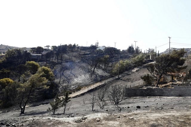 Φωτιά στην Αν. Αττική: Στάχτη 15.808 στρέμματα – Δορυφορική λήψη δείχνει το μέγεθος της καταστροφής